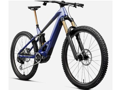 ORBEA WILD M10 Mullet Custom  click to zoom image