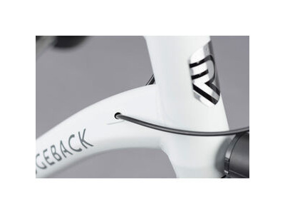 RIDGEBACK Supernova Eq click to zoom image
