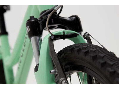 RIDGEBACK Harmony Green click to zoom image