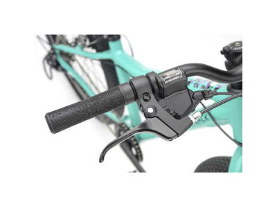 RIDGEBACK MX24 Mighty Mint click to zoom image