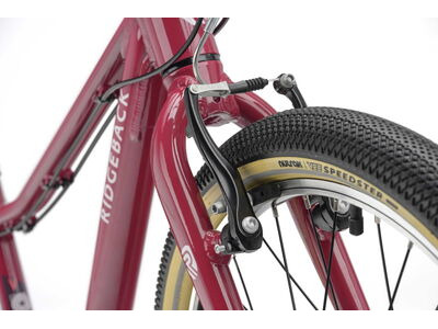 RIDGEBACK Dimension 20 Perfectly Plum click to zoom image