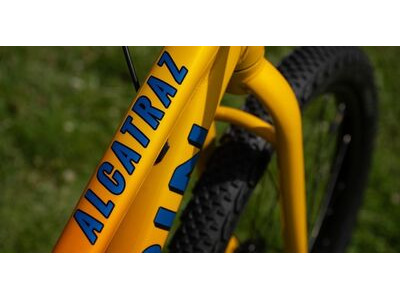 MARIN Alcatraz Dirt Jump click to zoom image