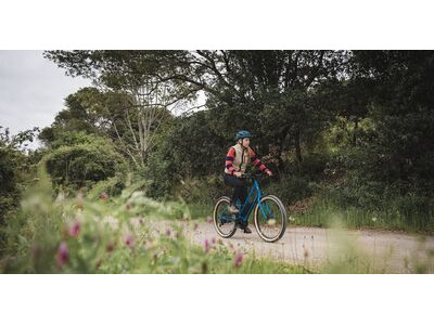 MARIN Larkspur E click to zoom image